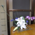 猿は猿（腰椎癒着性くも膜炎）