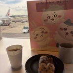 ぽぽちゃんのどりーむずかむとぅるー♪