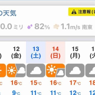 阿部静華～『どんなに小さな歩幅でも、1ミリでも前へ！』～