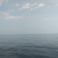 令和７年7月5日、ヒラメ＆キス