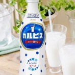 「これは秘密なんだけど、カルピスは水じゃなくて◯◯◯で割って飲むと飛ぶぞ。あり得んくらい美味い」　→　満場一致で一番美味い飲み方に決定ｗｗｗｗｗｗ