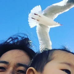 新年度スタート！お勧めショートヘアまとめ