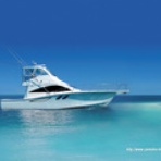 キャリアコンサルタント京都CCOJ人生成功・就職・転職相談・人間力ＵＰサポート&筋トレ・ランニングダイエット記録