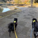 思いついたら・・・