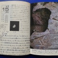 51年前の星日記：1975年3月13-14日＆目黒川の桜　2026/03/31