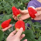 ��ǯ��2����Ϣ³��...