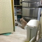 ポレポレ・リキモル