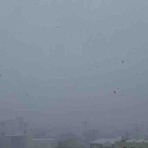 コルチカム's　ＬＩＦＥ日記