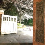 平凡大学生の日常