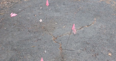 困った割れ目