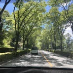 山遊び、川遊び−２