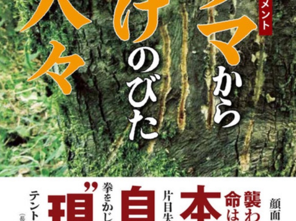 「撃ってくれ！」クマに顎を食いつかれた69歳猟師の必死の叫びに同僚は「弾ないんだわ！」素手の格闘の結末
