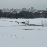 『一面の雪景色 グラウンド整備もお手上げ 』の画像