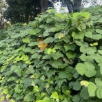 お客様と共に歩みたい、不動産会社社長日記