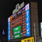 全国ツバメ軍団日誌！