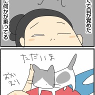 お盆の時期の夜中のできごと