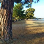 Ｍｏｏｎ　月に想いを・・