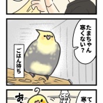 たろぴぃブログ