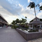 一日・ 一ハワイ  - ハワイ旅行ブログ -