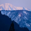 2026.3.22  一枚の彩時季