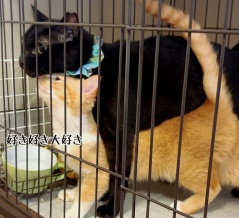 グリくんも認める逸材