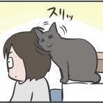 おそらくその平凡こそ幸せ　猫と私と家族の日常