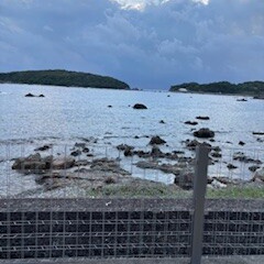 のんびり温泉。