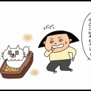 長毛猫の宿命