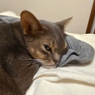 パジャマの上着取られちゃった(*´ω`*)