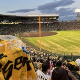 『もっと気持ちを乗せて闘わなければならないと猛省中』の画像