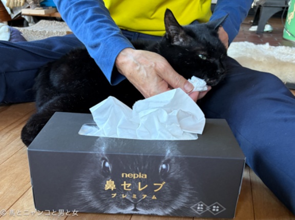 鼻だけ