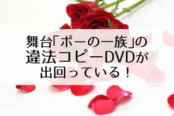 18 瀬戸かずや　2014年お茶会DVD&写真集 宝塚 瀬戸かずやさん お茶会DVD＆写真集 ME AND MY GIRL