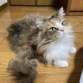 今日の成果