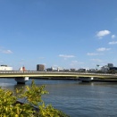 【映画ロケ地訪問】桜橋　『パーフェクト・デイズ』