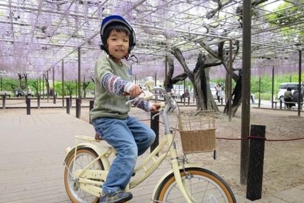 岡崎公園の藤棚 愛知 三河 子供の遊び場 お出かけスポット１００