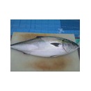 魚の解体でした☆　　　給食室