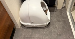 そこはベッドじゃない(๑¯◡¯๑)