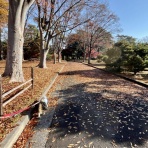 黄昏時の落としもの