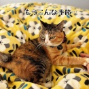 あったかいお布団最高