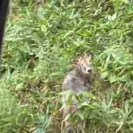 風さんの小径