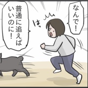 追いかけっこは普通じゃいられない