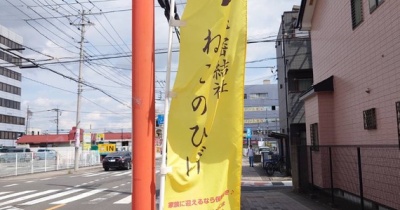 昨日は秘密結社ねこのひげ譲渡会♪