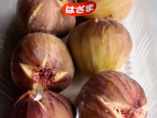 はざまFiggy　香川県まんのう町