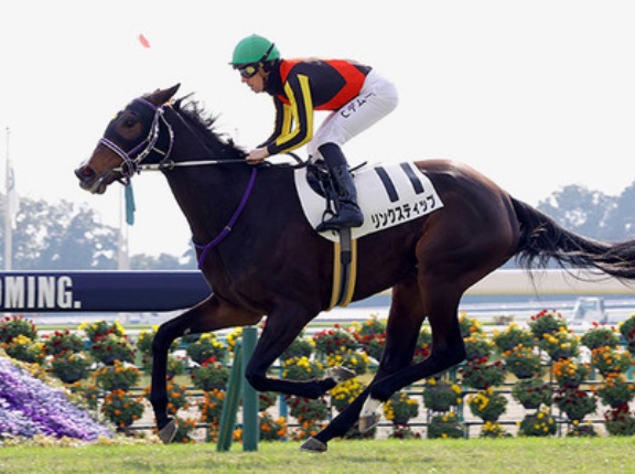 【初音S】エリ女4着1番人気リンクスティップ3勝クラスで敗れるwww