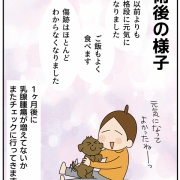 愛犬ティアラの手術記録⑥検査結果