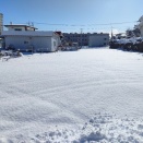 2026年新年おめでとうございます❗️今年も「ぼうけんの旅」よろしくお願いします‼️