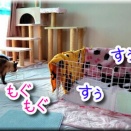 銀のGFへ向けて・4