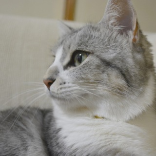 岡本健太郎のブログ