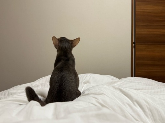 お布団の取り合い