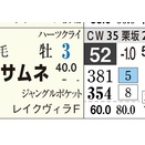 【レース予想】中京８Ｒ・常滑特別（３歳上１勝クラス）